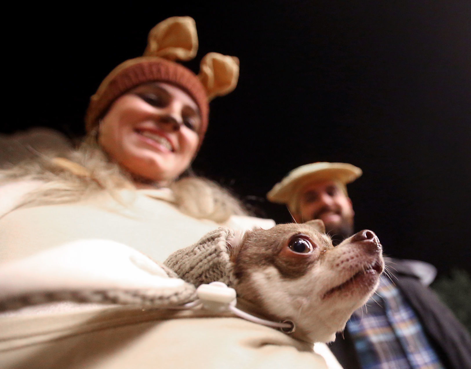 No. 7: Chihuahua